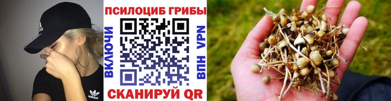 ОМГ ОМГ ссылка  Еманжелинск  Псилоцибиновые грибы Magic Shrooms 